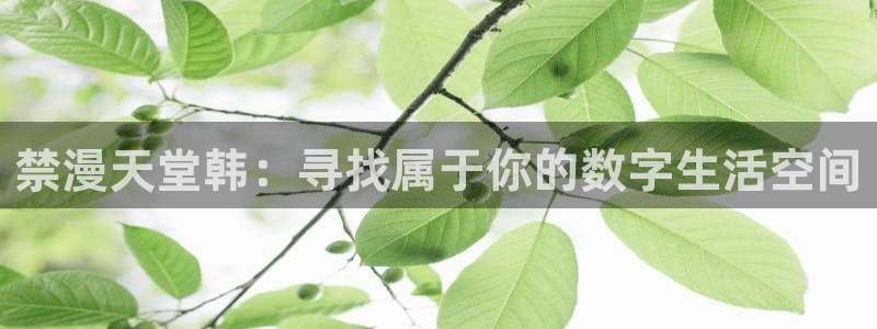 歪歪漫画正版网