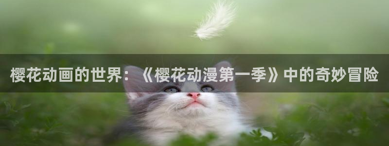 歪歪漫画下载动漫全免费：樱花动画的世界：《樱花动漫第一季》中的奇妙冒险