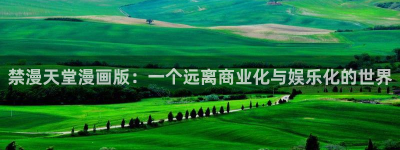 kakaopage韩漫官网：禁漫天堂漫画版：一个远离商业化与娱乐化的世界