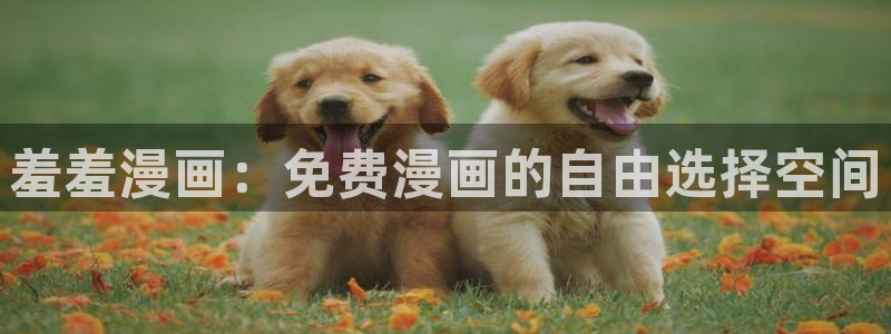 age樱花动漫：羞羞漫画：免费漫画的自由选择空间