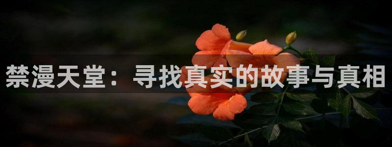 age专注动漫的门户网站：禁漫天堂：寻找真实的故事与真相