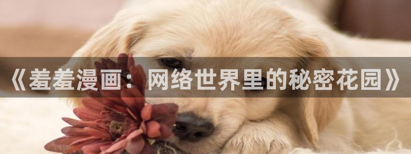 歪歪漫画下载动漫全免费：《羞羞漫画：网络世界里的秘密花园》