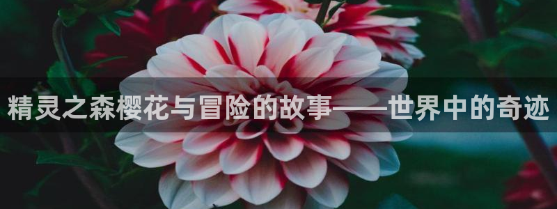 歪歪漫画omofun：精灵之森樱花与冒险的故事——世界中的奇迹
